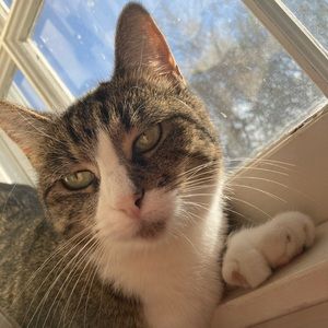 Meet your Posher, Rosemary